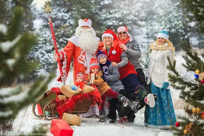 Баннер с Дедом Морозом, Снегурочкой и оленем купить по цене от 727.00 ₽ в  Чите • ColorChita.ru