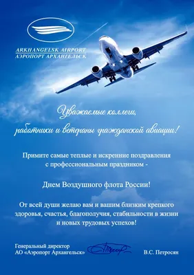 С Днем Воздушного флота России!