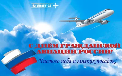 С Днем воздушного флота России!