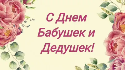 В Петербурге пройдет «День бабушки и дедушки»