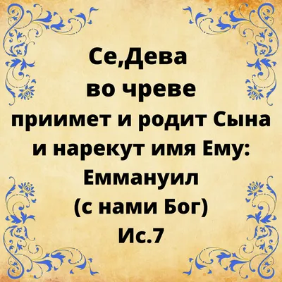 Белых голубей выпустили в небо в день Благовещения в Пскове. ФОТО |  07.04.2023 | Псков - БезФормата