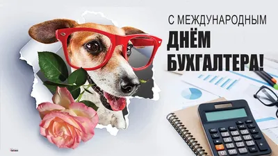 pozdravok.ru - 🎈10 ноября → Международный день бухгалтера... | Facebook