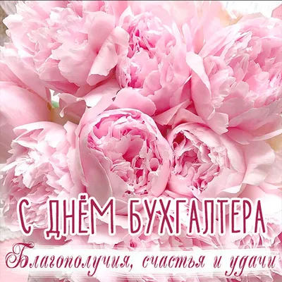Картинки С Днем Бухгалтера фотографии