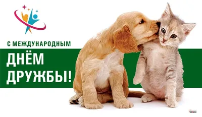 Поздравляем с днем дружбы, прикольная открытка - С любовью, Mine-Chips.ru