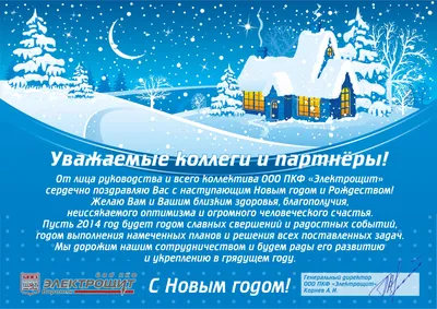 С Днем энергетика и наступающим Новым годом! | НЭС Совета Федерации ФС РФ