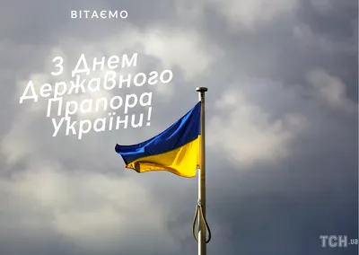 С Днем флага Украины поздравления в стихах и прозе патриотические -  картинки, открытки, видео, смс | OBOZ.UA