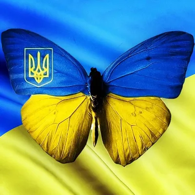 День флага Украины 2023: когда празднуют и какая история праздника