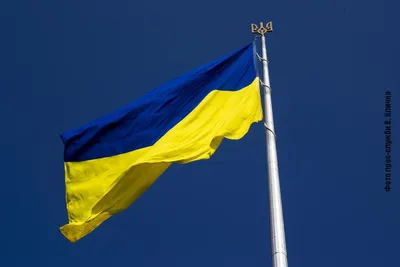 День Государственного флага Украины 2023: поздравление Зеленского и  Залужного