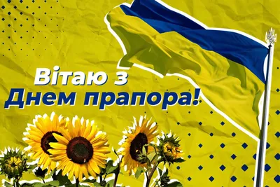 День государственного флага Украины – Запорожская федерация таиландского  бокса Муай-Тай
