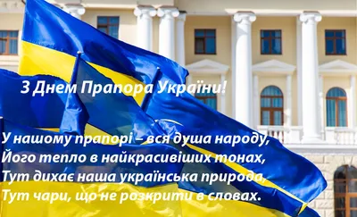 День украинского флага: в Киеве подняли самый большой флаг - портал  новостей LB.ua