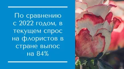 День флориста в России: топ-7 фактов об одной из творческих профессий рынка  труда — ЯСИА