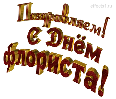 Флорист – не просто профессия, это вид искусства