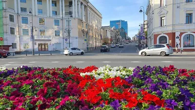 Поздравление с Днем города Владивостока | 02.07.2023 | Владивосток -  БезФормата