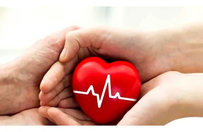 стихи кардиологу, день кардиолога, поздравления врачу кардиологу, что лечит  кардиолог, стихотворение сердце, кардиолог