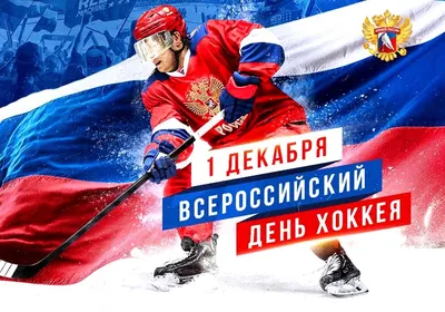1 декабря – Всероссийский день хоккея | Министерство физической культуры и  спорта Чувашской Республики