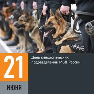 День кинологических подразделений МВД 21 июня: храбрые открытки и  поздравления для защитников покоя россиян | Весь Искитим | Дзен