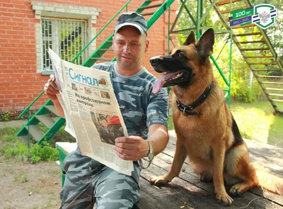 ФГБОУ ВО Костромская ГСХА - Сегодня в России отмечается День кинолога!