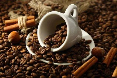 Международный день кофе. Праздник, который стал официальным лишь в 2015 году