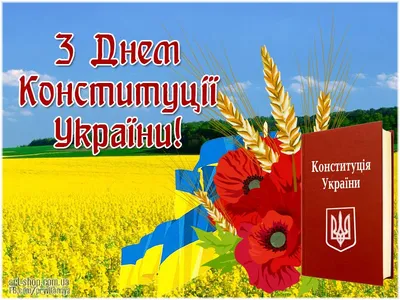 С Днем Конституции Украины | ДОНЕЦЬКА ОБЛАСНА ОРГАНІЗАЦІЯ ПРОФСПІЛКИ  МЕТАЛУРГІВ І ГІРНИКІВ УКРАЇНИ