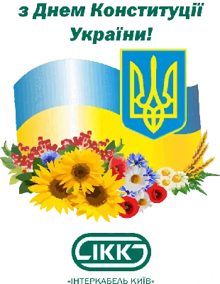 C Днём Конституции Украины!