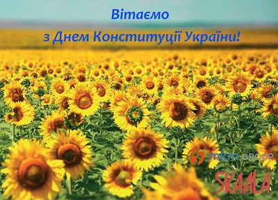 День Конституции Украины 28 июня – поздравления в красивых открытках -  Телеграф