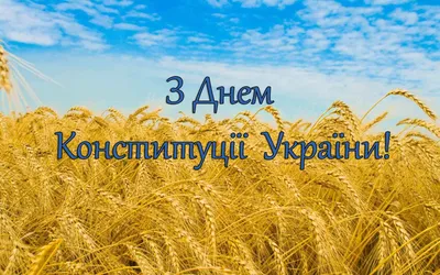 12 декабря — День Конституции Российской Федерации – Новости – Окружное  управление социального развития (Сергиево-Посадского городского округа)