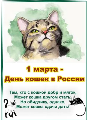 Всемирный день кошек празднуется 8 августа. | ВКонтакте