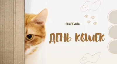 Всемирный день кошек :) | Пикабу