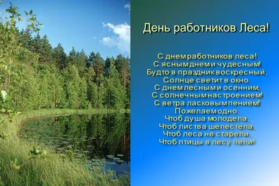 ПОЗДРАВЛЯЕМ С ДНЁМ РАБОТНИКОВ ЛЕСА! / Министерство природных ресурсов, лесного  хозяйства и экологии Новгородской области