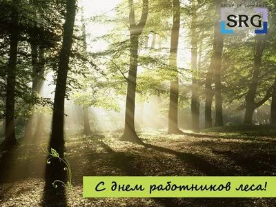 Поздравление с Днем работников леса и лесоперерабатывающей промышленности.  | kazbekovskiy.ru