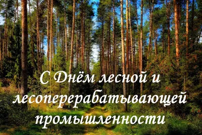 С Днем работников лесного хозяйства! | 18.09.2023 | Новости Тулуна -  БезФормата