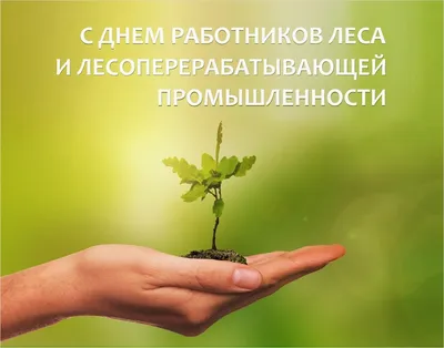 Поздравление с Днём работников леса! | Союз лесовладельцев Нижегородской  области