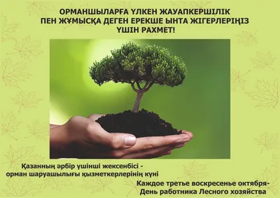 День работников лесного хозяйства - лучшая подборка открыток в разделе:  Профессиональные праздники на npf-rpf.ru