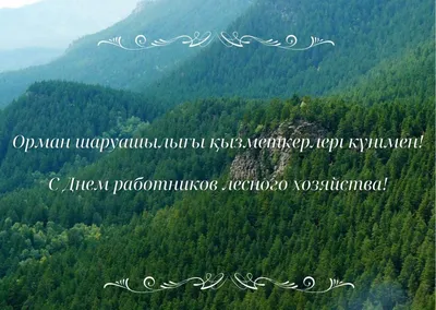 Поздравление Сахамина Афанасьева с днем работников леса