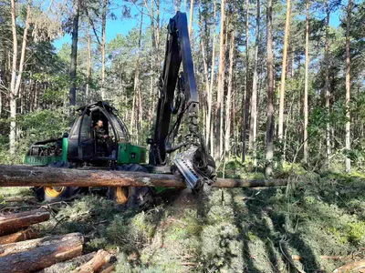 С Днём работников леса и лесоперерабатывающей промышленности!