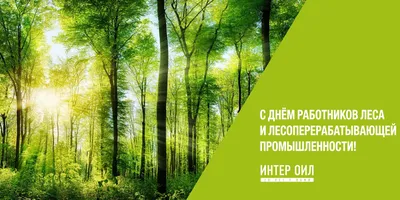 Поздравление с Днем работников леса | MogilevNews | Новости Могилева и  Могилевской области