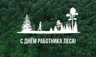 18 Сентября - День работников леса