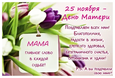 Клуб \"Странник\" - 25 ноября 2018 года - День матери — международный  праздник в честь матерей. В этот день принято поздравлять матерей и  беременных женщин, в отличие от Международного женского дня, когда