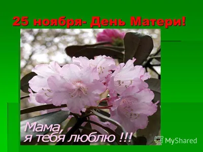 Ментальная Арифметика - 🌹Поздравьте любимых мам! 25 ноября на календаре  Международный день матери. Этот тот праздник, в который обязательно следует  порадовать своих мам приятными словами и подарками. Пускай в каждой семье  этот