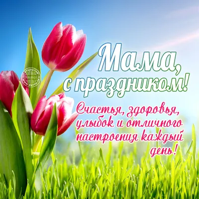 День матери: душевные поздравления в стихах и прозе | podrobnosti.ua