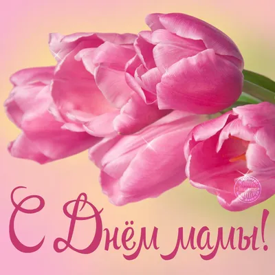 С Днем мамы - цветы на день матери - Скачайте на Davno.ru