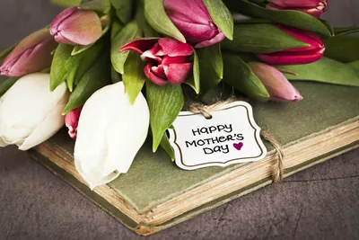 День матери 2023 - поздравление на день матери - как поздравить маму с днем  матери