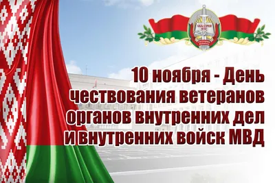 Сегодня милицейское ведомство отмечает День чествования ветеранов органов  внутренних дел и внутренних войск - AMIA.by