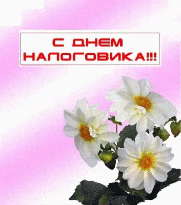 Кодекс on X: \"Ровно 26 лет назад в России была создана Государственная  налоговая служба! С Днем налоговика! #деньналоговика #профессия #праздник  #налоги https://t.co/9Moyi0AYnY\" / X