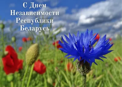 С Днем Независимости Республики Беларусь! - Лента новостей Херсона