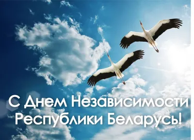 День Независимости Республики Беларусь | Ветковский районный исполнительный  комитет
