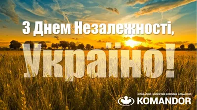 С Днем Независимости Украины! – ООО \"МАШИНТЕХ\"
