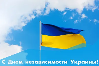 С Днем Независимости Украины 2023: поздравления в прозе и стихах, картинки  на украинском — Украина