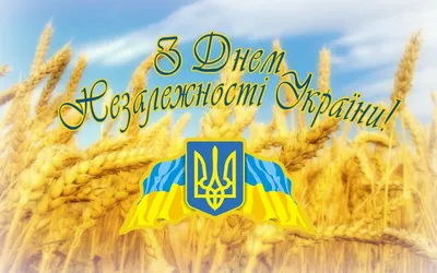 За нее стоит бороться: с Днем независимости Украины! (колонка редакции) |  Новости Одессы