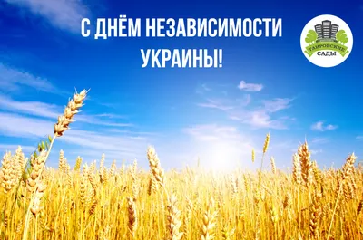 С Днем Независимости Украины - новости | Tufishop.com